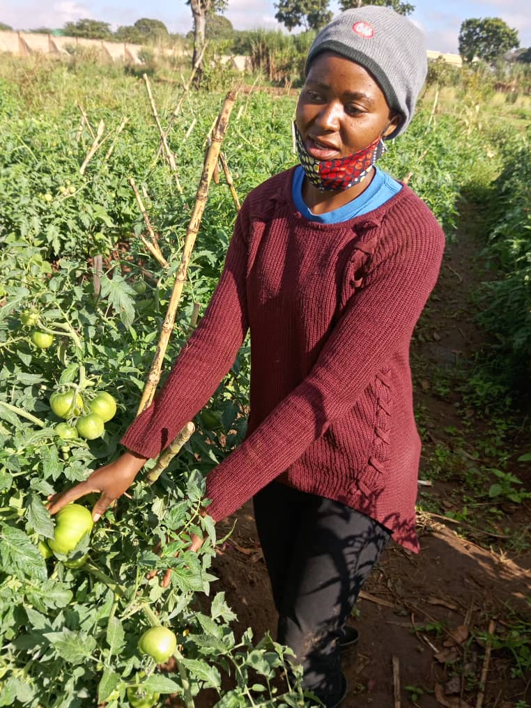 Community agriculture empowerment