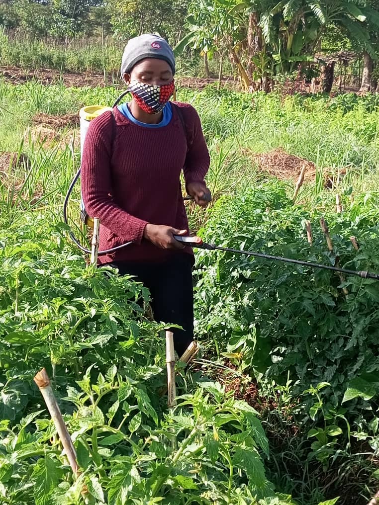 Agribusiness practical work